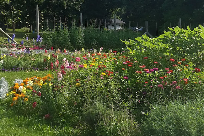 Hunterdon County, NJ Open Day